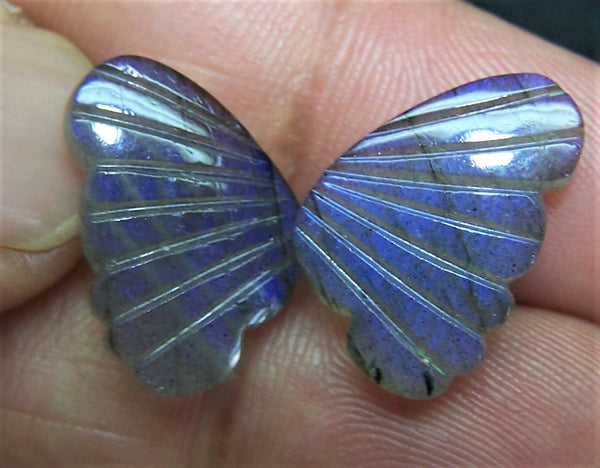 Blue Fire Labradorite (Semi-Translucent) Fancy Butterfly Wings Shaped Hand Carved Gems, Sample Pieces Loose Gems,100 % Natural AAA