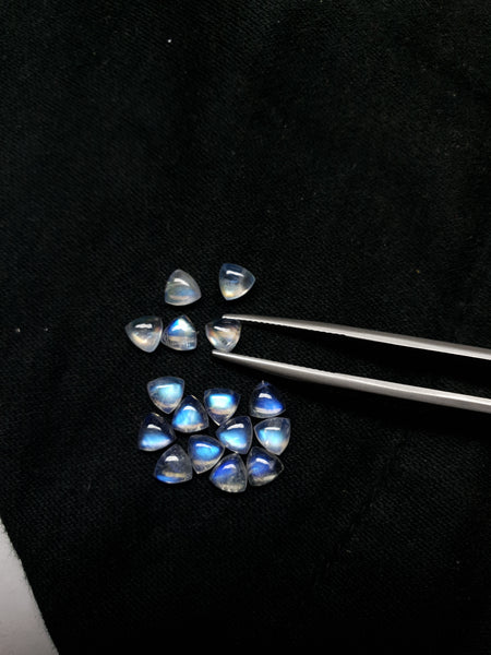 Masterpiece Blue Flashy White Rainbow Moonstone Calibrated 5 x 5 mm Trillion Cabochon Loose Gem, 100 % Natural Gems AAA